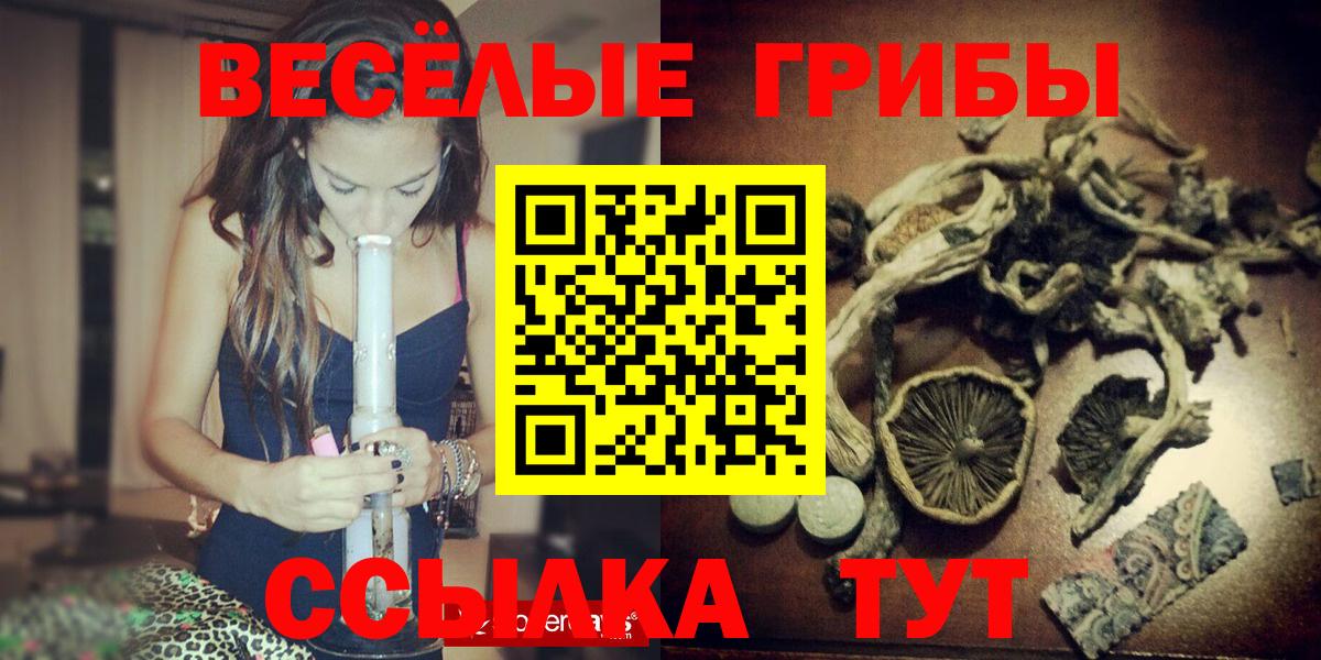 Псилоцибиновые грибы мухоморы Ставрополь