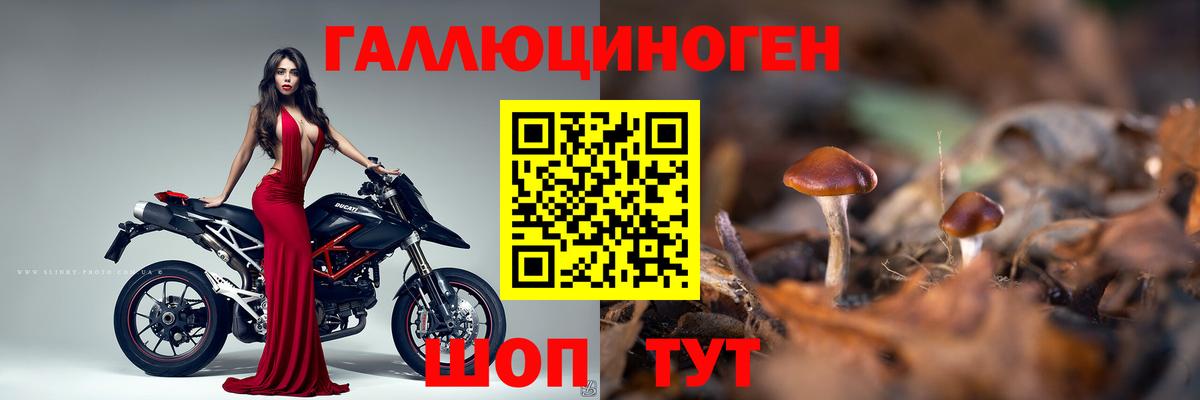Галлюциногенные грибы ЛСД  Галлюциногенные грибы мицелий  Вход с VPN  Ставрополь 